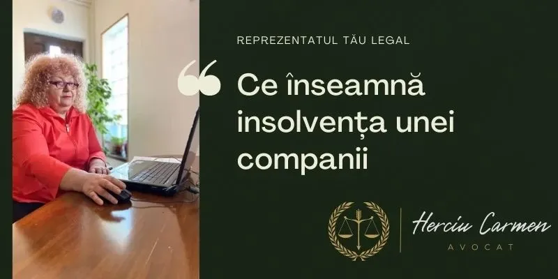 Ce înseamnă insolvența unei companii