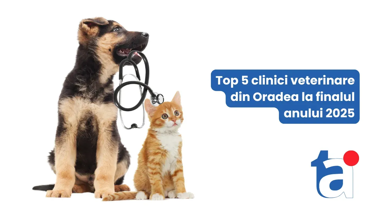 Top 5 clinici veterinare din Oradea la finalul anului 2025