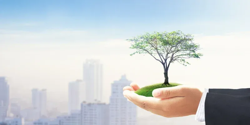 Afacerile și Responsabilitatea Socială: Inovații și Practici