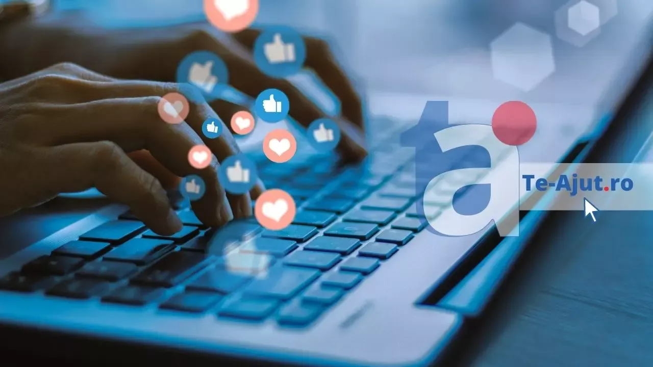 Sofer sau Marketing Manager?